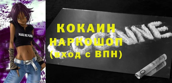 круглые Гусев